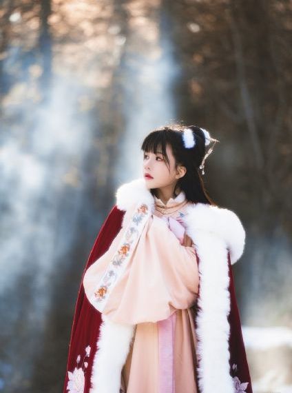 冰雪奇缘国语版_4K免费全集观看
